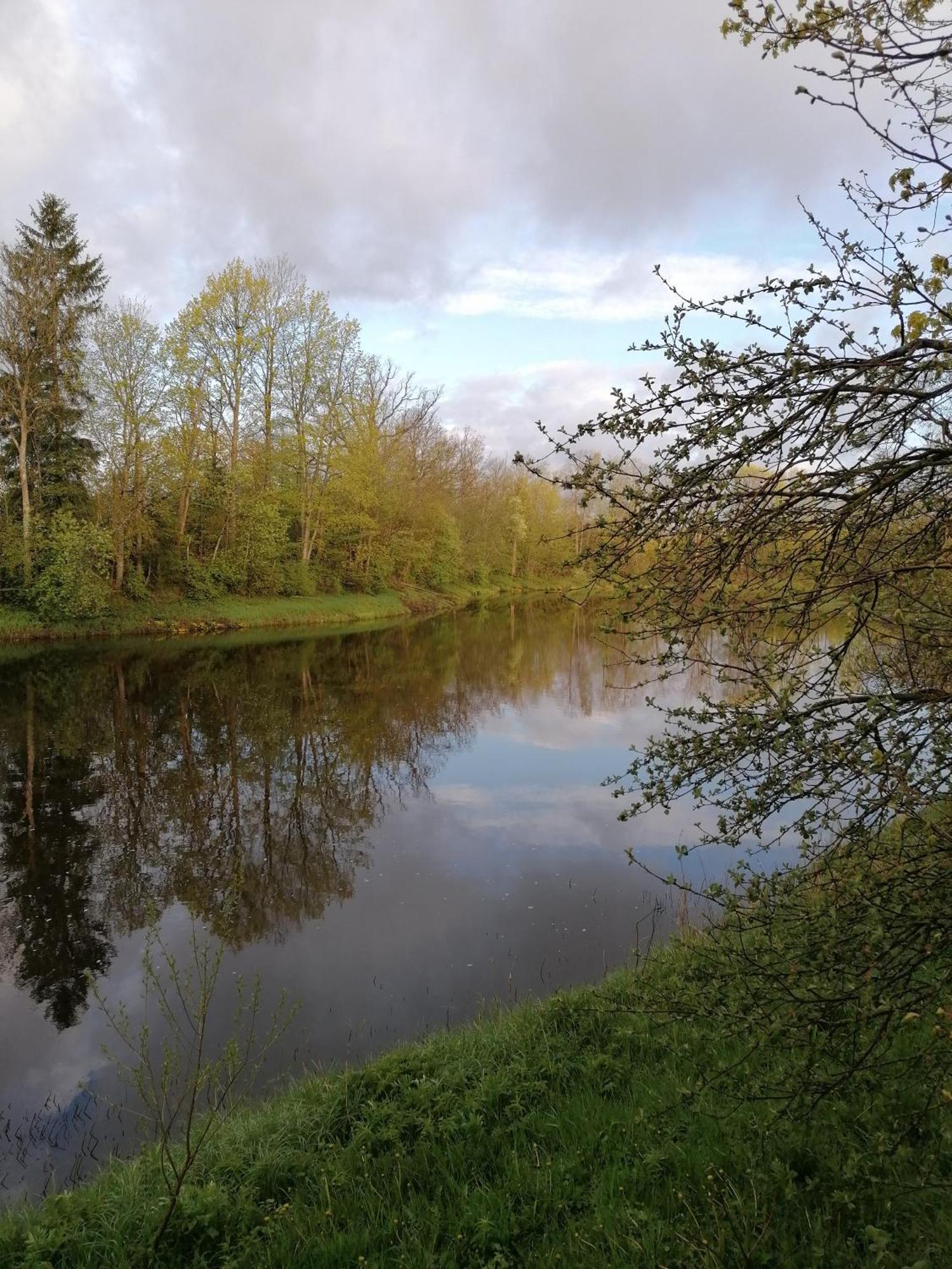 Villa River Rose Joesuu  Bagian luar foto